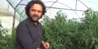 Sebze üretimiyle ilgili ironi videosu çeken öğretmen açığa alındı