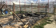 8 baraka ev yakıldı, seralara zarar verildi