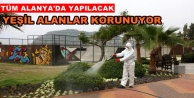 Alanya Belediyesi ilaçlama yapıyor