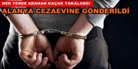 Alanyalı kaçak Manavgat'ta yakalandı