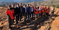 Alanyaspor Hatıra Ormanına fidan dikildi