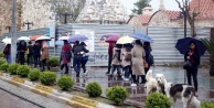 Turistler yağmura aldırmadı