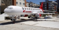 11 metrelik oyuncak uçak yaptılar
