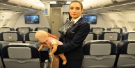 Kabin memuru uçakta 7 aylık bebeğin hayatını kurtardı