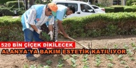 Alanya çiçek açacak