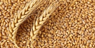 Antalya’da buğday alım fiyatını açıkladı