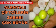 Dolu kirazı vurdu! Üretici mağdur oldu