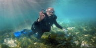 Vali, Alanya'da denizin altından mesaj verdi