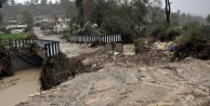 Kuvvetli yağışta hayvanlar telef oldu