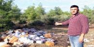 Ormanlık alan çöplüğe döndü