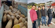 Alanyalı genç çiftçilere hayvanları teslim edildi