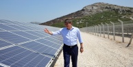 Çiftçi elektriğini güneş santrallerinden üretecek