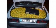 Limon hırsızları polisten kaçamadı