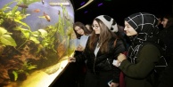 Öğrencilere akvaryum motivasyonu