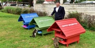Parklar kedi evleriyle neşelendi