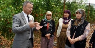 Tarımda ‘Gelin Kardeş Olalım’ projesi