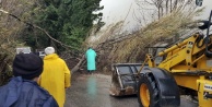 Fırtına sonrası temizlik çalışmaları devam ediyor