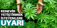 Kenevir yetiştirmek isteyenler : Son tarih 1 nisan!