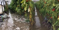 Sağanak yağmur seraları göle çevirdi!