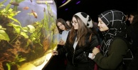 Takdir alan öğrencilere akvaryum gezisi