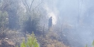 Alanya’da bahçede çıkan yangın ucuz atlatıldı!
