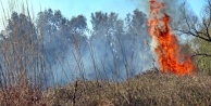 Sazlık yangını yürekleri ağza getirdi!