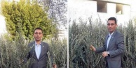 Tahir Göktepe'den zeytin duyurusu