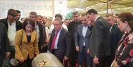 Alanya'nın muz lifi standına yoğun ilgi