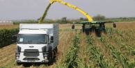Antalya'da sılajlık mısırın tonu 200 TL