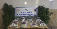 Antalya’da jandarmadan uyuşturucu operasyonu