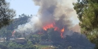 Manavgat'ta orman yangını çıktı