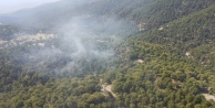 Manavgat'ta orman yangını