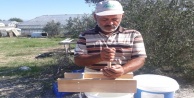 Çam ağacından imal etti, zeytin üreticisinin umudu oldu