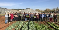 Bahçe Bitkileri Öğrencileri sebzeleri kendileri üretiyorlar