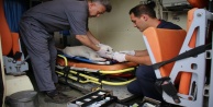 Yaralı ve bakıma muhtaç sokak hayvanları için 7/24 ambulans hizmeti