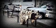 Alanya Belediyesi evsizlere el uzatıyor