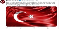 Bakan Çavuşoğlu'ndan Yunan vekile sert tepki