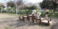 Alanya'nın ilk köpek parkı hizmete açıldı