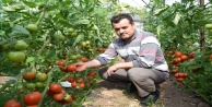 Domateste kota artırımı haberi üreticileri sevindirdi