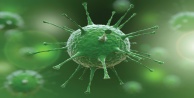 “Yaz aylarıyla birlikte koronavirüs bitebilir”