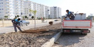 Okurcalar Mahallesinde peyzaj düzenlemesi yapıldı