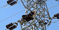 Yüksek gerilim hatlarında ekmek mücadelesi