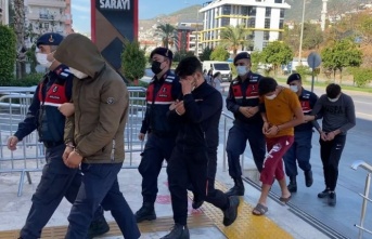 Alanya'da avokado hırsızlığında 3 tutuklama