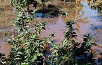Alanya’da çiftçinin sulama kanalı isyanı 