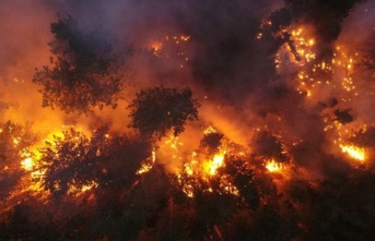 Alanya’da otellere yakın alanda korkutan yangın