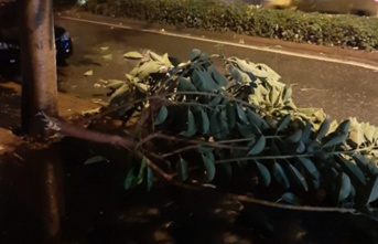 Alanya'yı fırtına vurdu