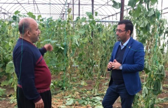 Alanyalı üreticilere önemli uyarı