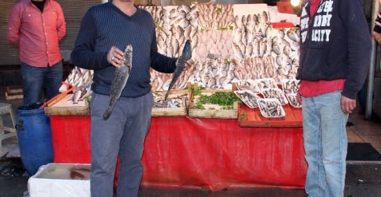 Vatandaş 1 Temmuz'a Kadar Ucuz Balık Yiyebilecek 