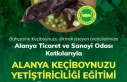 Alanya'da üreticiye Keçiboynuzu yetiştiriciliği...