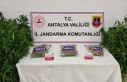 Ormanda kenevir sularken yakalandı, tutuklandı!